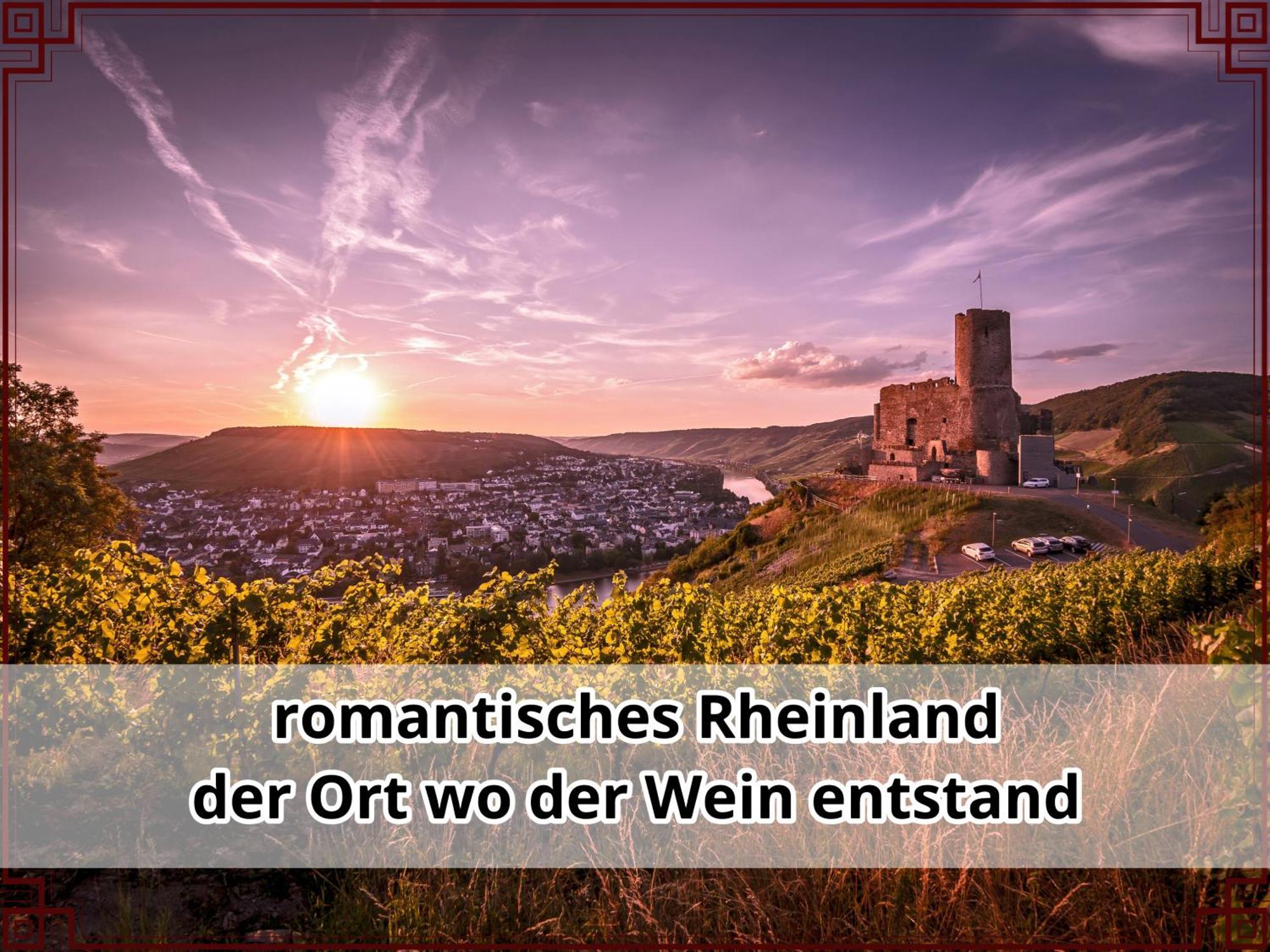 Smallsaigon Apartment Mit Guter Anbindung Zwischen Mosel Und Rhein Leiningen Esterno foto